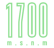 la-tostsaduria-de-kelly-caschuna-cafe-cafe-nativo3